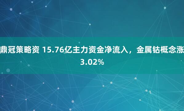 鼎冠策略资 15.76亿主力资金净流入，金属钴概念涨3.02%