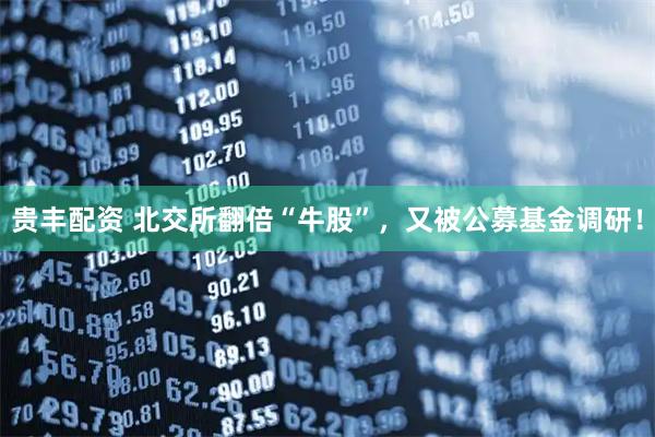 贵丰配资 北交所翻倍“牛股”，又被公募基金调研！